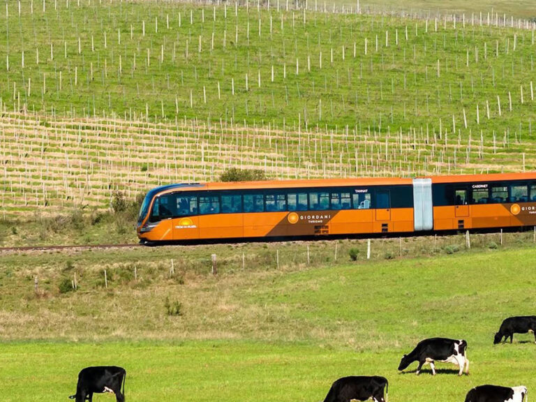 imagem do trem do pampa