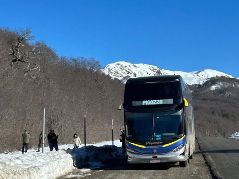 Pacote Viagem Pigozzo