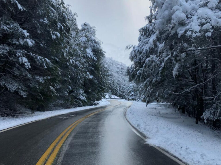 Pacote Viagem Pigozzo